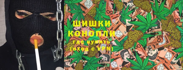 ГАЛЛЮЦИНОГЕННЫЕ ГРИБЫ Богданович