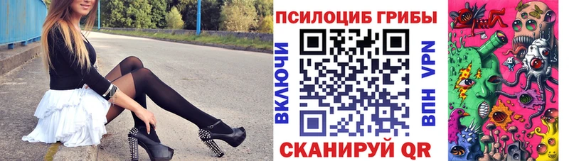 kraken зеркало  цены наркотик  Городец  Галлюциногенные грибы Cubensis 